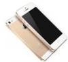 海外のオークションサイトで『iPhone5s ゴールド・16GB』が100万円で売れた